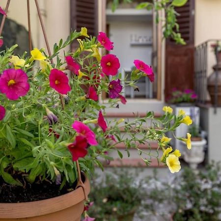 Loft Azalea Garden Wifi Air Conditioning Флоренция Экстерьер фото